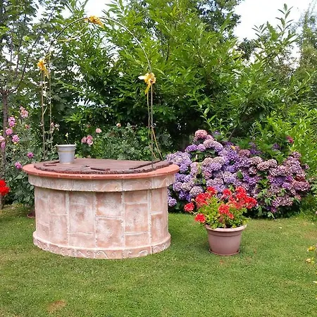 Otel Del Riccio 3*